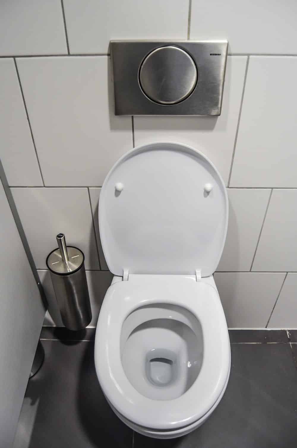Clogged Toilet Repair image