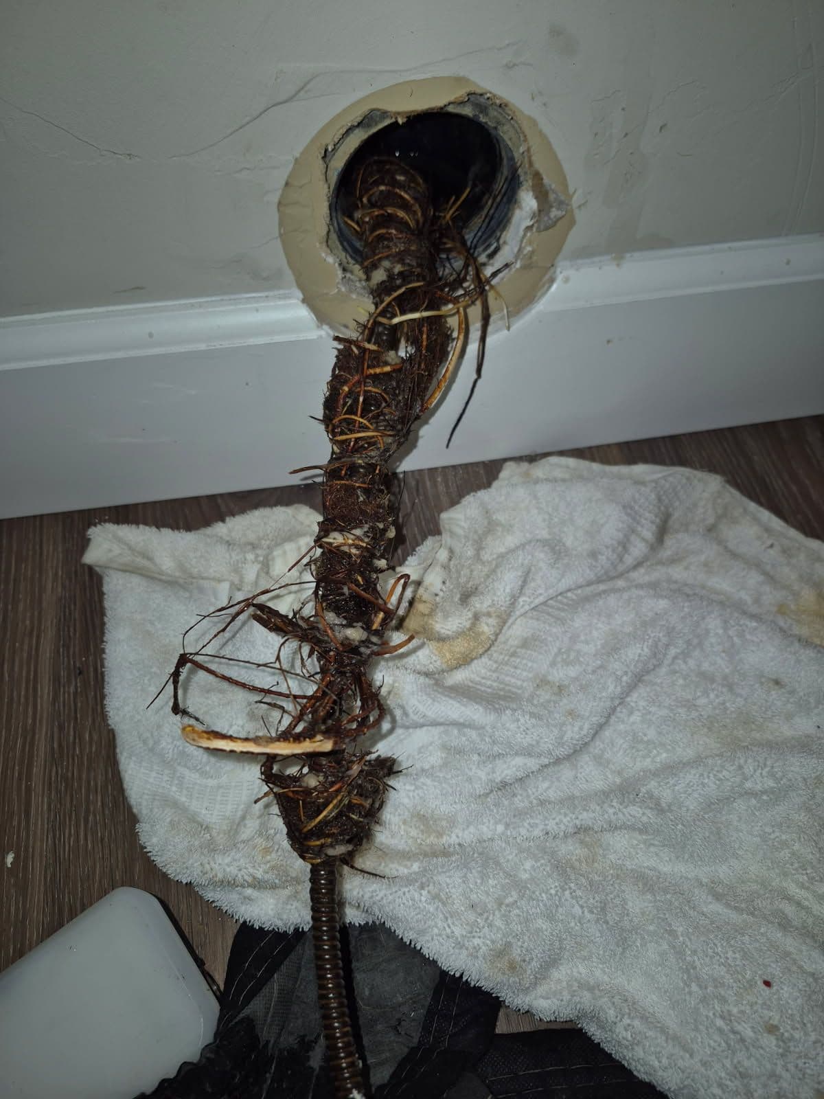 Expert Sewer Inspection Tackles Root Blockages