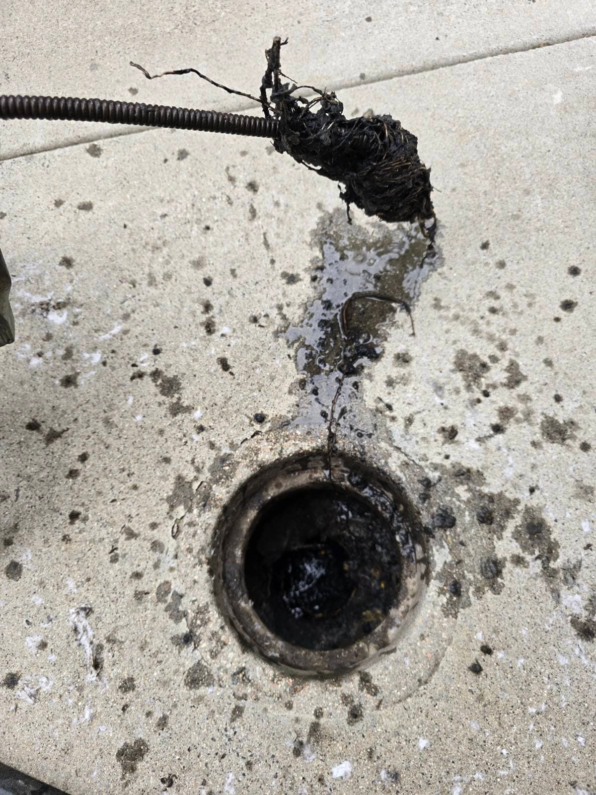 Project Expert Drain Cleaning Saves the Day image