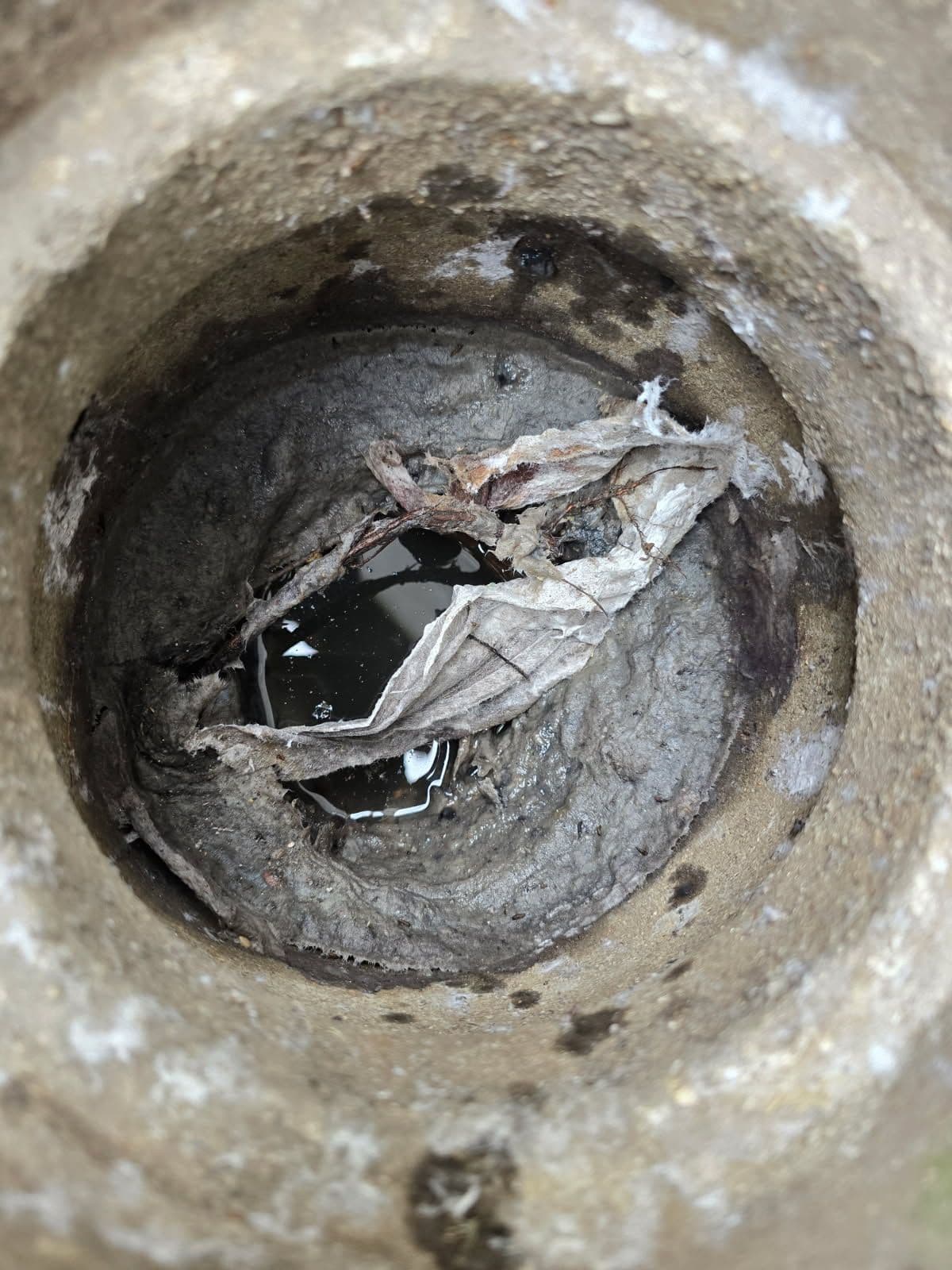 Expert Drain Cleaning Saves the Day