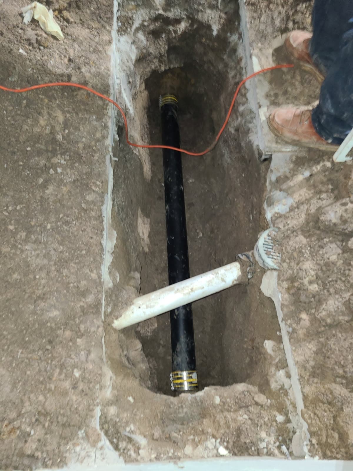 Gallery photos for Fixing Root-Damaged Pipes in Style: Image #2