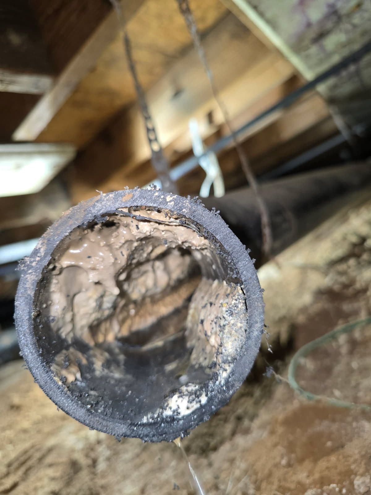 Efficient Pipe Clearing with Jetter Service image